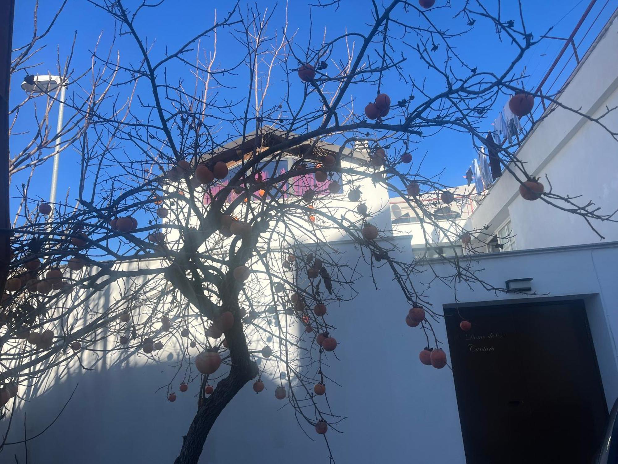 Casa Ziranu Sa Domo E Su Cantaru Orani Exterior foto
